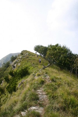 Il panoramico sentiero che dal Monte Lago conduce all'Alpesisa