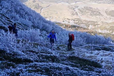 183 - Aldo Gianluca e Enrico in mezzo a alberi ghiacciati con Pian Revelli sullo sfondo.jpg