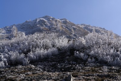 198 - Alberi e pendio ghiacciato guardando indietro scendendo al Pian Revelli piÃ¹ da lontano.jpg