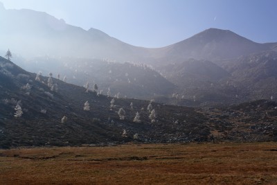 205 - Pian Revelli e alberi ghiacciati sullo sfondo piÃ¹ da vicino.jpg