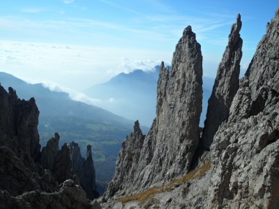 dalla sommità del canale angelina:fungo,angelina e teresita