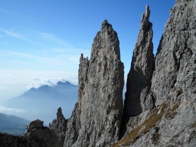 guglia angelina e ago teresita