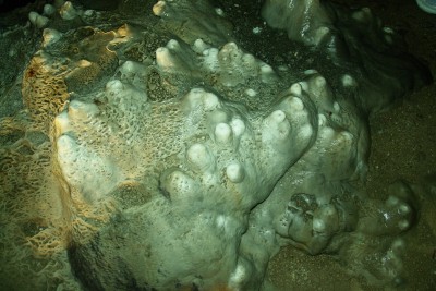 11 - Abbozzi stalagmitici in Grotta San Giovanni.jpg
