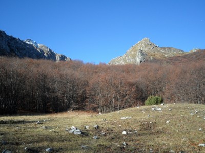 di tanto in tanto si esce dal bosco