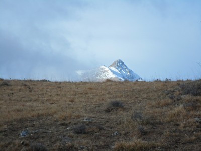 il pizzo d'ormea dalla scorciatoia