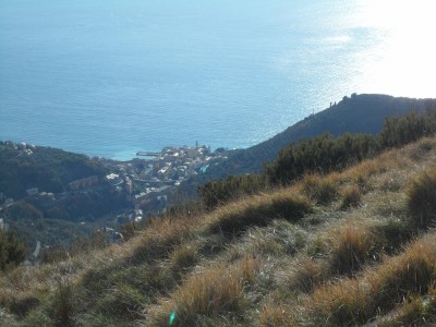 bogliasco dal crinale