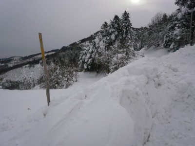 Strada del faiallo dove arriva quella della Cannellona