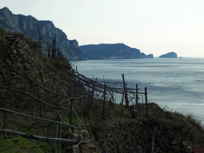 32 - Vigne e vista su Isole Portovenere da sentiero per Albana.jpg