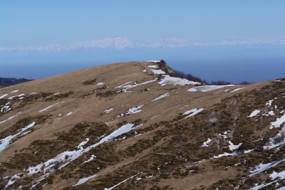 25 - Monte Rosa salendo al Chiappo.JPG