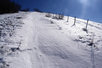 62 - Pendio innevato andando verso il GropÃ .jpg