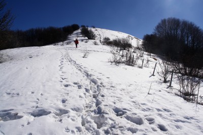 67 - Harry in discesa da pendio innevato andando verso il GropÃ .jpg