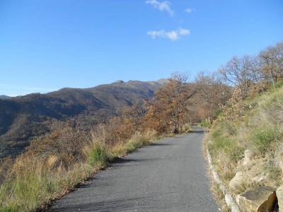 La via dell'andata, Sullo sfondo Follia e Faudo