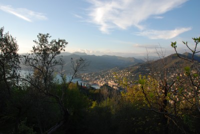 Camogli al ritorno