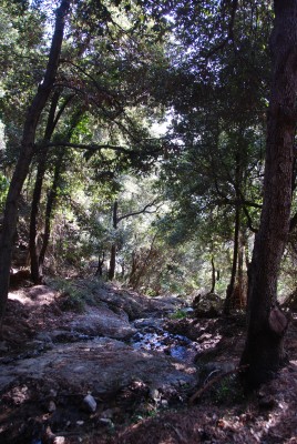 Da Pietre Strette verso S.Fruttuoso