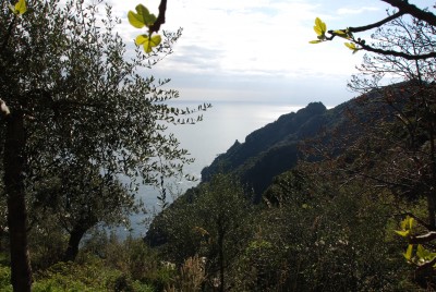 Da Pietre Strette scendendo verso S.Fruttuoso