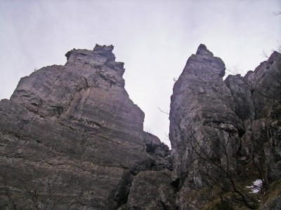 nel circo du barei