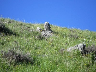 P.sso delle Porte: Mi ricorda un oggetto a me familiare, non riesco a farmi venire in mente che cosa