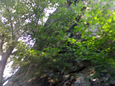060920122786.jpg