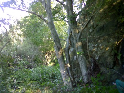 060920122787.jpg