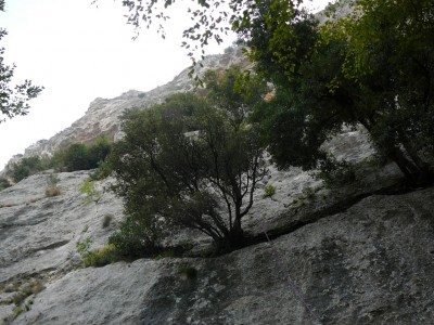 Il primo tiro