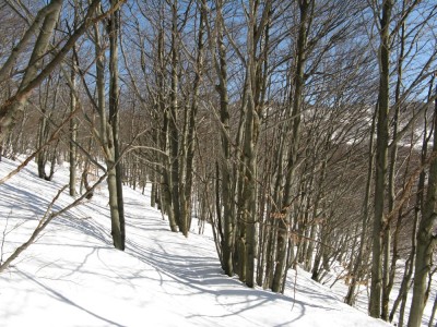 image001.jpg