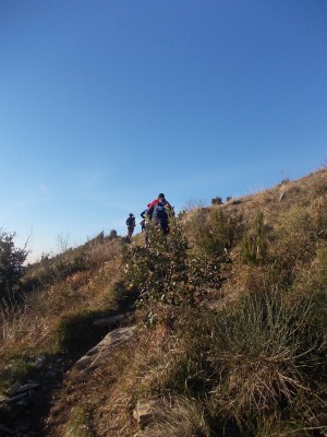 DSCN0607.JPG