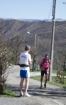 arrivo trigi