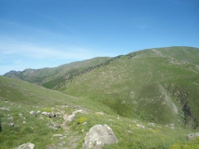 Passo Gava e Monte Reixa dal Passo Tardia.JPG
