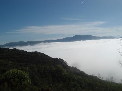 Punta Martin emerge dalle nubi.JPG