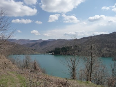 P1030946.JPG