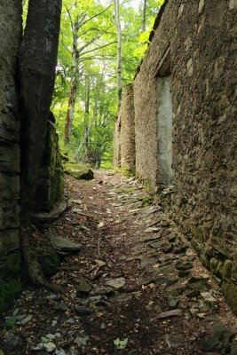 BPP_0689.jpg