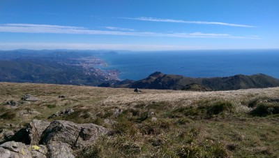 IMAG0268.jpg