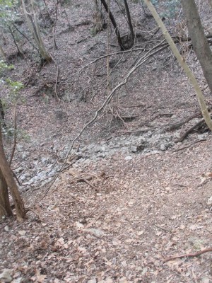 P2280738 rid.jpg