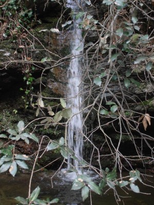 P2280740 rid.jpg