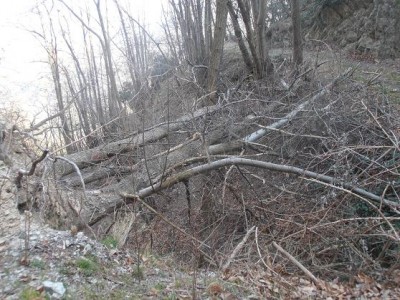 ponte.jpg