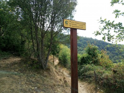 P70821-114022.jpg