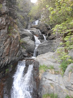 DSCN9926.JPG