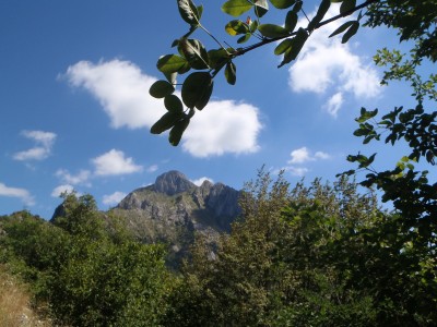 sara' li che dobbiamo andare?