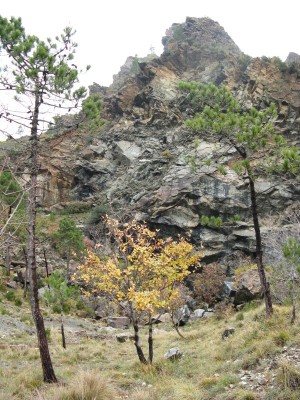 Cava abbandonata
