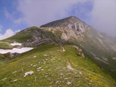 il mondole' dal colletto