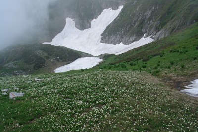 62 - Prato fiorito di bianco e Laghetto MondolÃ¨ coperto di neve.JPG
