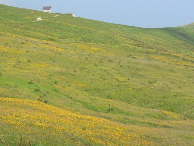 09 - Prati gialli presso Rifugio Balma con casa sul crinale piÃ¹ da vicino.JPG