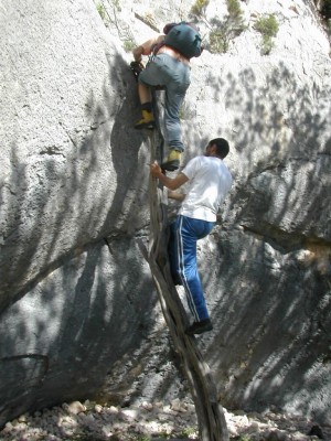 Scala fustes