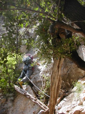 Arrampicate su misto legno roccia