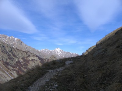 IMG_0060.jpg