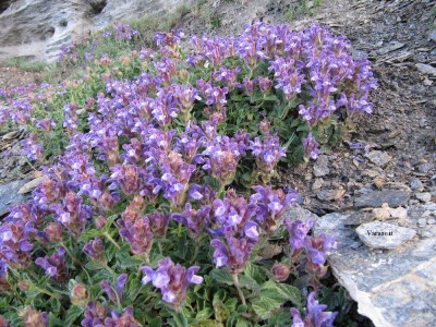 Sotto la vetta del Monte Zerbion