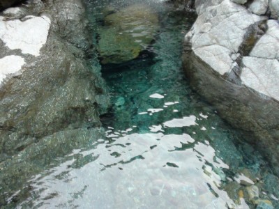 image015.jpg