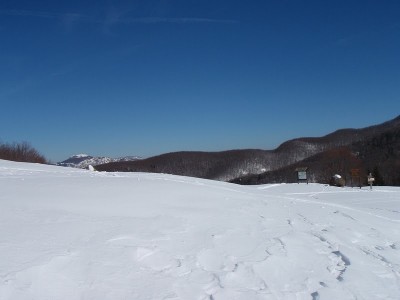 Copy of Aiona20110226-011.JPG