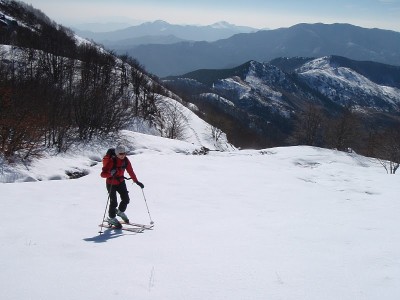 Aiona20110226-005.JPG