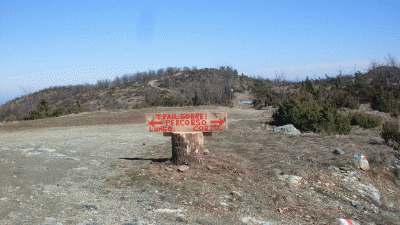 deviazione2445.GIF